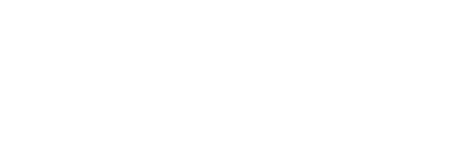 logo storia damore (blanco)