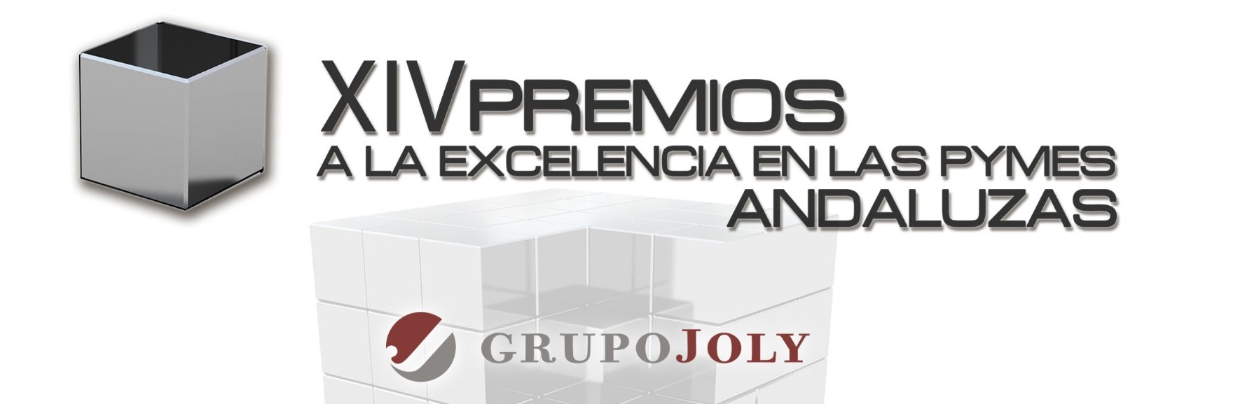 Prix pour les PME. XIV Prix d'excellence des PME. Grupo Joly